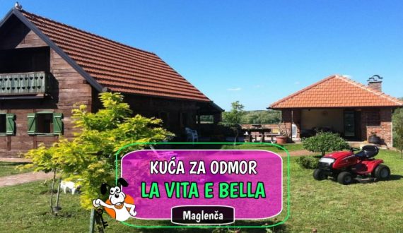 La Vita E Bella