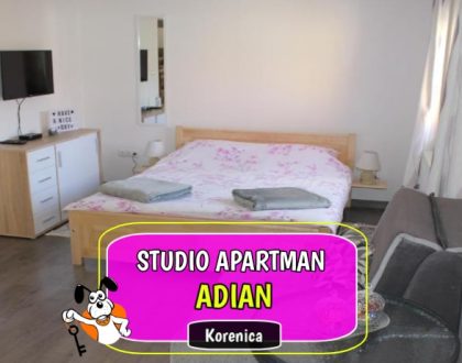 Studio apartman Adian