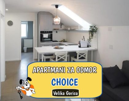 Apartmani za odmor Choice