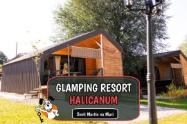 Glamping Rasort Halicanum