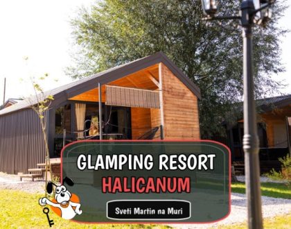 Glamping Rasort Halicanum