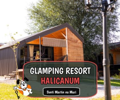 Glamping Rasort Halicanum