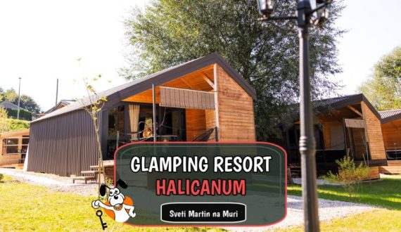 Glamping Rasort Halicanum