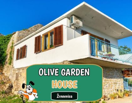 Olive Garden House