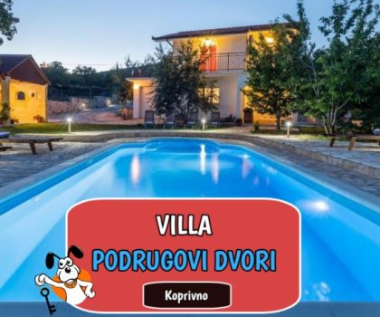 VILLA PODRUGOVI DVORI