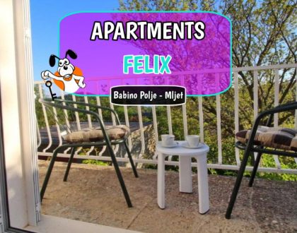 Apartments Felix