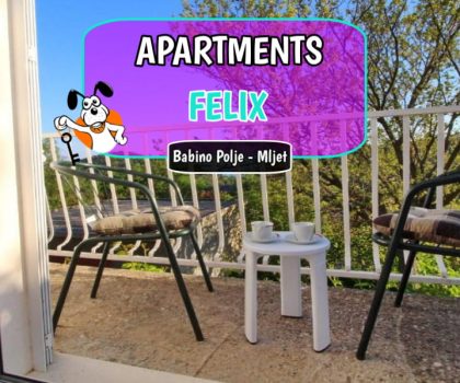 Apartments Felix