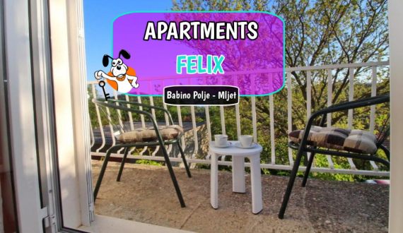 Apartments Felix