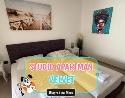 Studio apartman Velvet