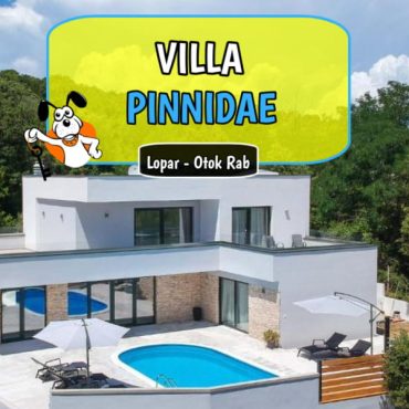 Villa Pinnidae