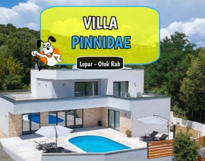 Villa Pinnidae
