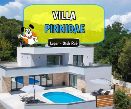 Villa Pinnidae