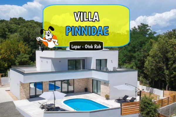 Villa Pinnidae