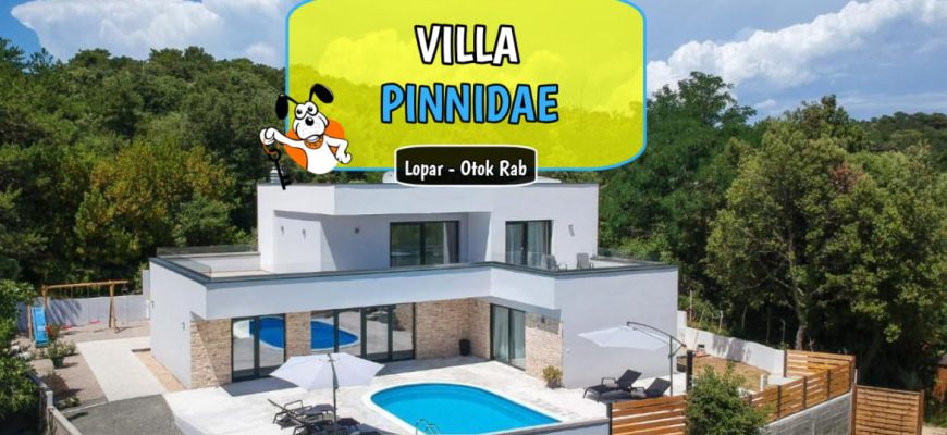 Villa Pinnidae