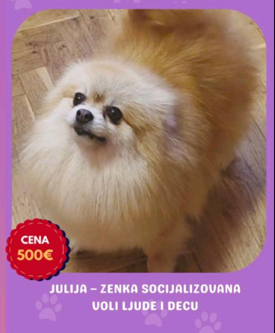 Pomeranci