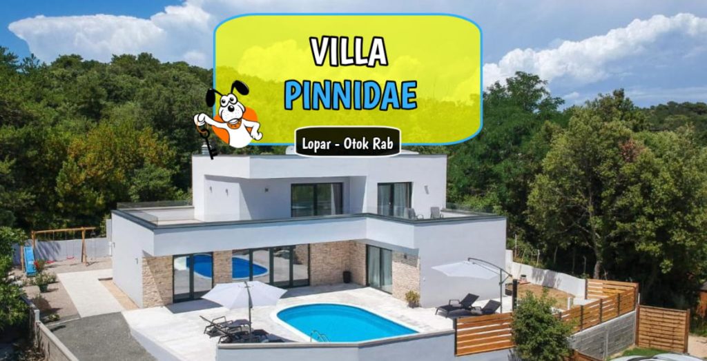 Villa Pinnidae