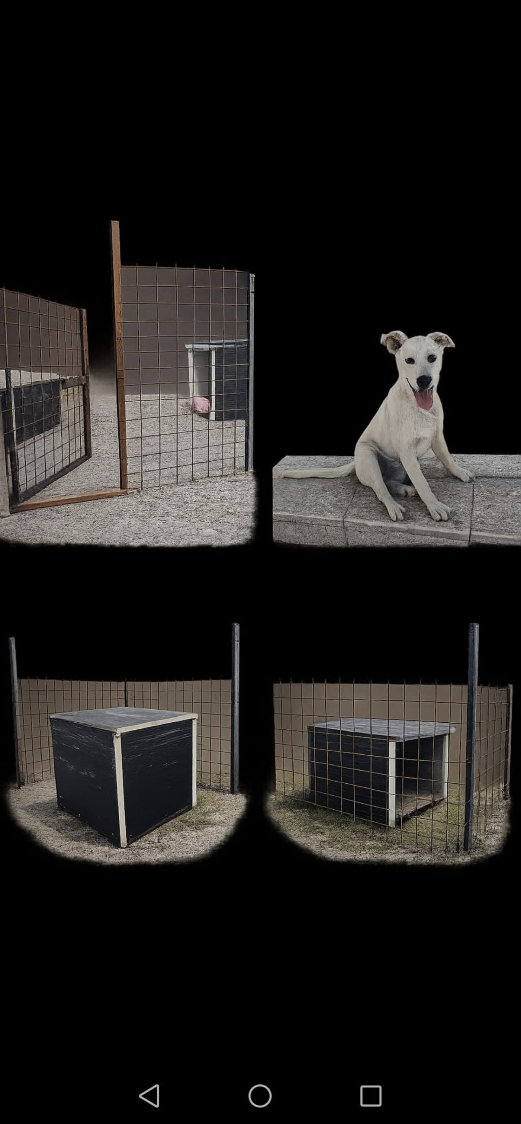 Na prodaju komplet za psa – box, kućica i ženka