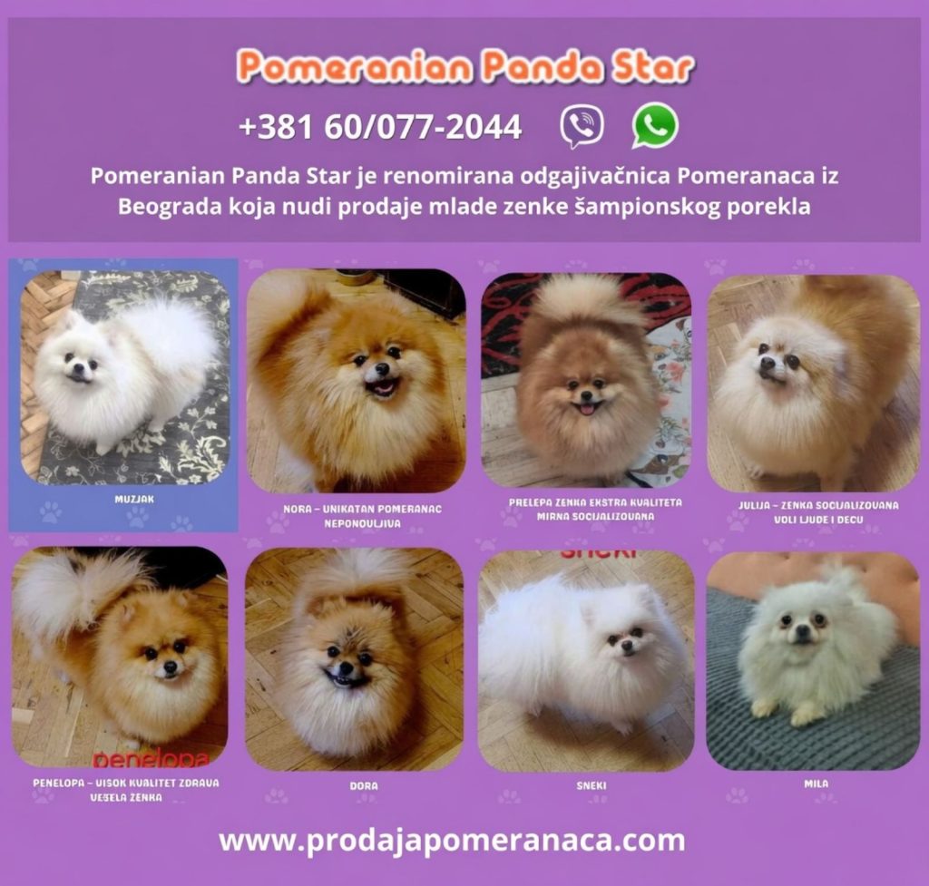 Pomeranci